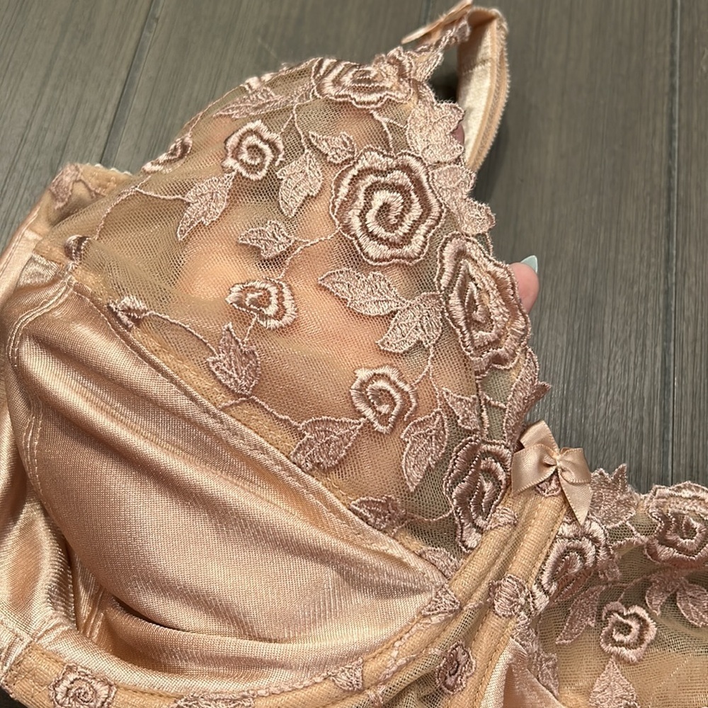 Fantasie Belle Full Cup Bra - Picture 4 of 11